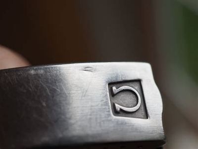 1171 clasp cover