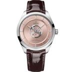 Omega De Ville 529.53.43.22.99.001 · special material